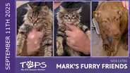 9/11/2025 | Pixie, Dixie and Nick | Mark's Furry Friends Extra