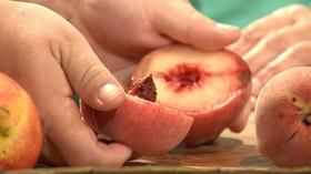 Video thumbnail: Virginia Home Grown Growing Peach Trees; Plants for Pollinators (#1705)