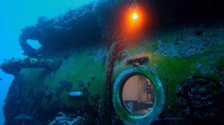 Video thumbnail: NOVA Two Weeks Under the Sea