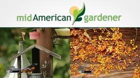 Video thumbnail: Mid-American Gardener Mid-American Gardener w/ Tinisha Shade-Spain, Sept 13, 2018