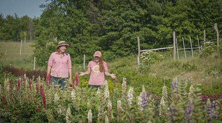Video thumbnail: Around the Farm Table Growing flowers on Green Light Farm