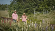 Growing flowers on Green Light Farm