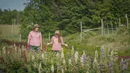 Growing flowers on Green Light Farm