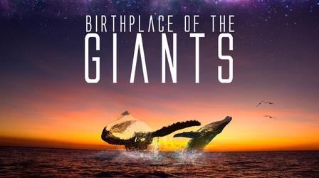 Video thumbnail: Birthplace of Giants Birthplace of Giants