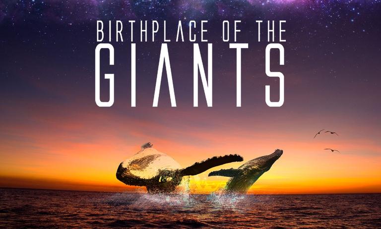 Birthplace of Giants
