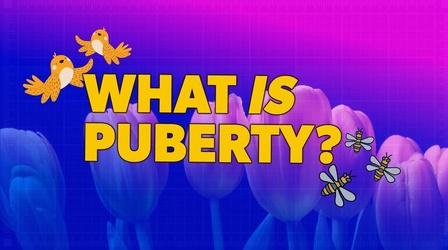 Video thumbnail: Parentalogic Hormones, Body Odor, and Acne, Oh My! Puberty 101