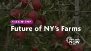 The Future of New York's Farms