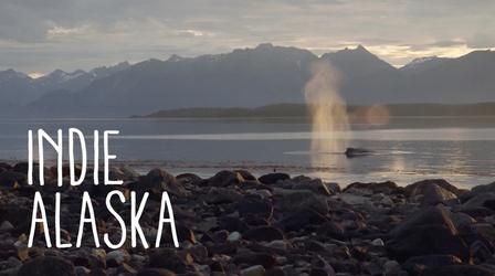 Video thumbnail: Indie Alaska What do whales and seals sound like? | INDIE ALASKA