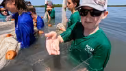 Dispatches from Kimberly's Reef - Seagrass