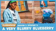 A Very Blurry Blueberry