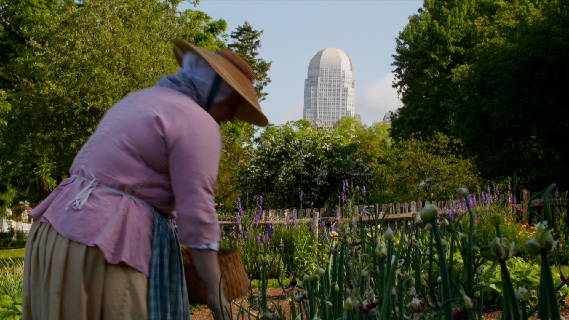 Winston-Salem's Historic Gardens
