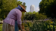 Winston-Salem's Historic Gardens