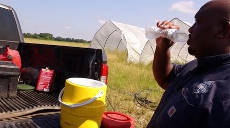 Video thumbnail: ncIMPACT Preview | Resilient Agriculture