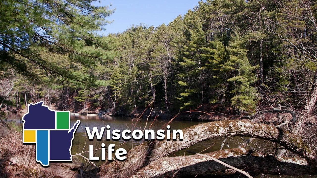 Wisconsin Life Upham Woods Outdoor Learning Center airing Thu, Aug 6 7:00 pm