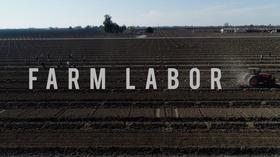Video thumbnail: American Grown: My Job Depends on Ag American Grown: My Job Depends on Ag - Farm Labor Crisis