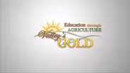 Education through Agriculture