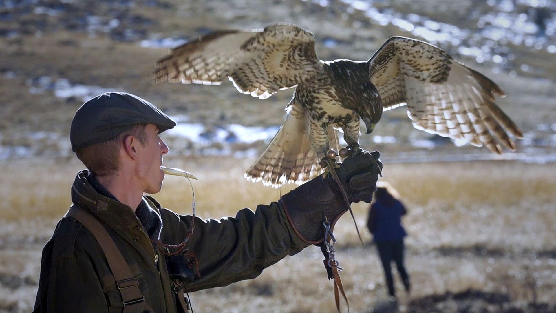 We celebrate some of Wyoming's keystone plants and animals.