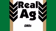 GMO
