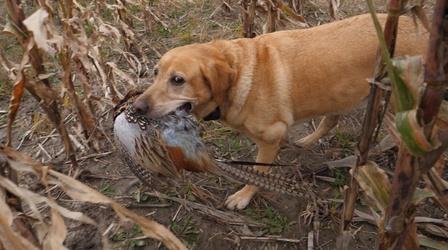 Video thumbnail: Prairie Sportsman Cast and Blast Southern Style