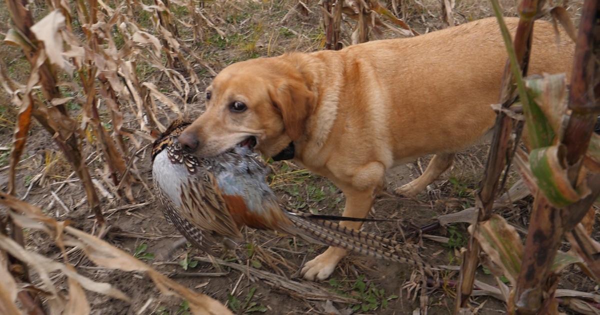 Prairie Sportsman | Cast and Blast Southern Style | Season 11 | Episode ...