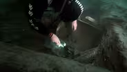 Mysterious Bones Found in 500-Year-Old Shipwreck