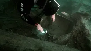 Mysterious Bones Found in 500-Year-Old Shipwreck