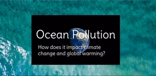 Ocean Pollution - Arielle Derflinger