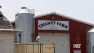Fame at the Farm