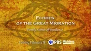 Echoes of the Great Migration Preview