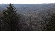 Greetings from Newton Hills