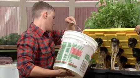 Video thumbnail: The Family Plot Planting Bulbs & Hydroponic Maintenance