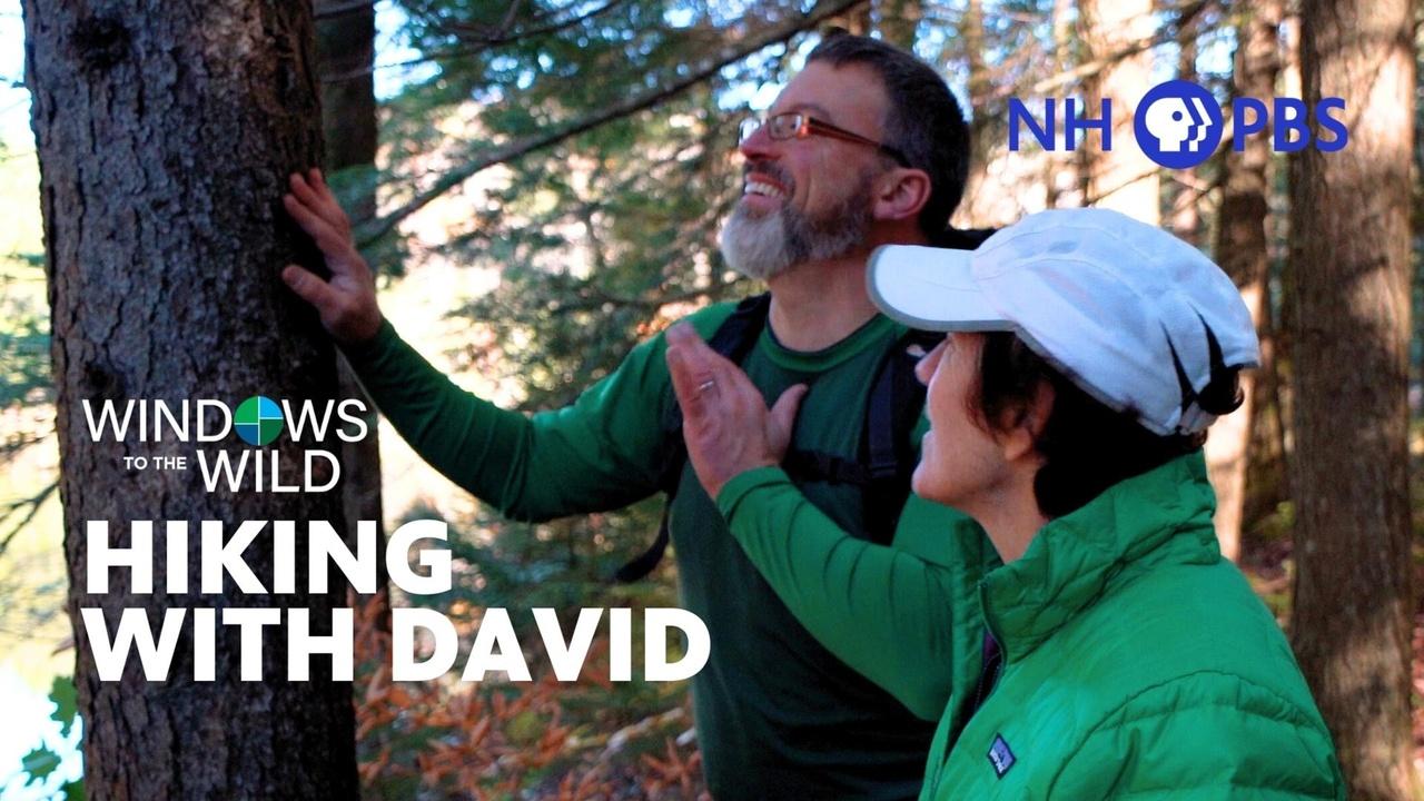 Windows to the Wild | Hiking with David