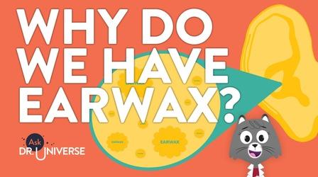 Video thumbnail: Ask Dr. Universe Why Do We Have Earwax?