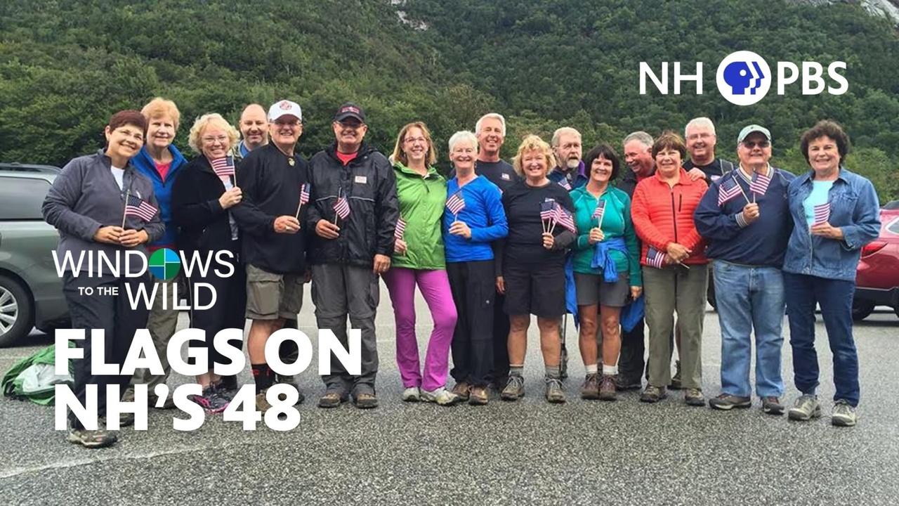 Windows to the Wild | Flags On NH'S 48