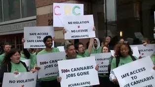 Cannabis regulators reverse denial of Curaleaf licenses
