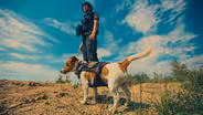 Preview of Saving the Animals of Ukraine
