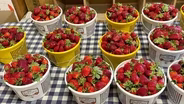 Dorr Farms and “The Savers of Flavor"
