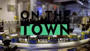 Saltwater Brewery | On the Town, Eco-Adventures