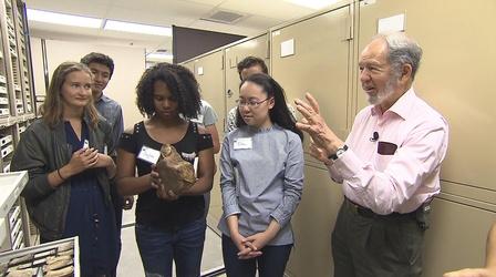Video thumbnail: NHK SPECIAL - Jared Diamond's Rise of the Third Chimpanzee Will We Be Visited By Aliens? / Can We Eradicate Genocide?
