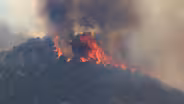 There’s Something Living in Wildfire Smoke
