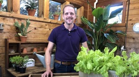Video thumbnail: Iowa PBS Presents Gardening with Steil 2