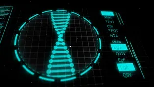 Humans Are 99.9% Genetically Identical