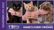 11/06/2025 | Alani, Spaghetti and Blake | Mark's Furry Friends Extra
