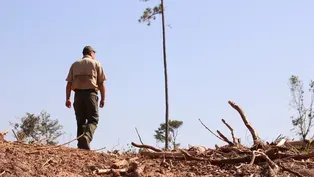 Torreya State Park After Hurricane Michael | One Year Later