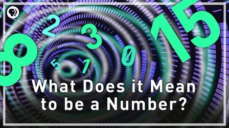 Video thumbnail: Infinite Series What Does It Mean to Be a Number? (The Peano Axioms)