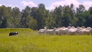 704 Part-time Farmers