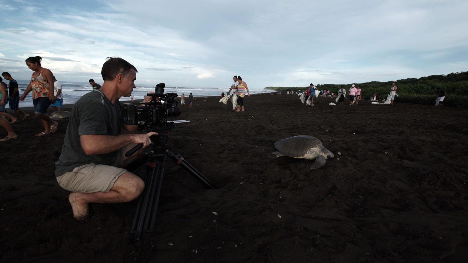 Big Pacific | PBS