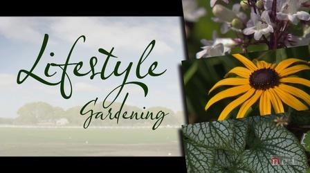 Video thumbnail: Backyard Farmer Backyard Farmer: Lifestyle Gardening: Pre-Emergent Herbicide