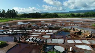 Kaua’i Pa’akai (Salt) Hanapēpē Salt Ponds