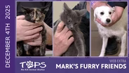 12/4/2025 | Windy, Frost and Cold Foam | Mark's Furry Friends Extra